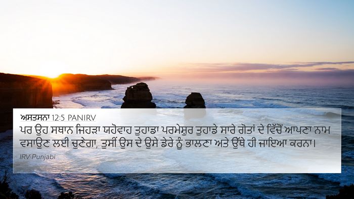 ਅਸਤਸਨਾ 12:5 PANIRV Bible Verse Image