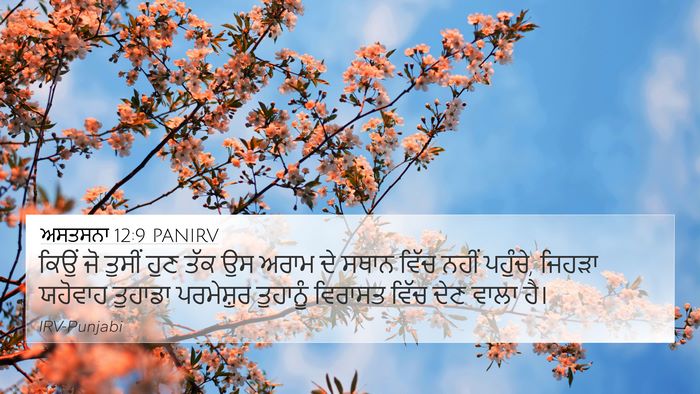 ਅਸਤਸਨਾ 12:9 PANIRV Bible Verse Image