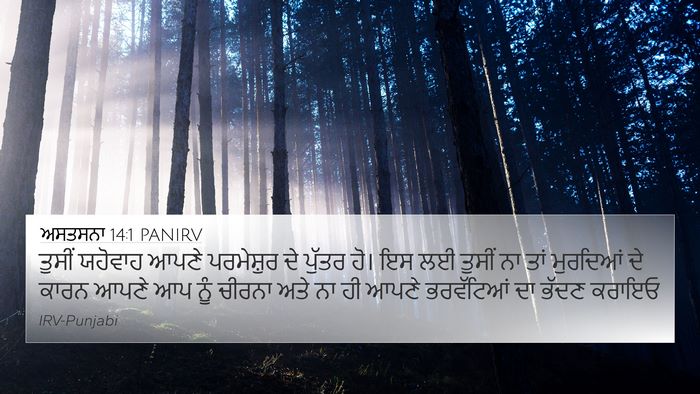ਅਸਤਸਨਾ 14:1 PANIRV Bible Verse Image
