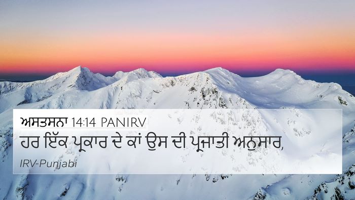 ਅਸਤਸਨਾ 14:14 PANIRV 4K Wallpaper - ਹਰ ਇੱਕ ਪ੍ਰਕਾਰ ਦੇ - 4K Wallpaper Bible Verse