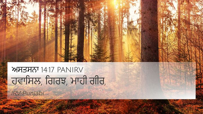 ਅਸਤਸਨਾ 14:17 PANIRV 4K Wallpaper - ਹਵਾਸਿਲ, ਗਿਰਝ, ਮਾਹੀ - 4K Wallpaper Bible Verse