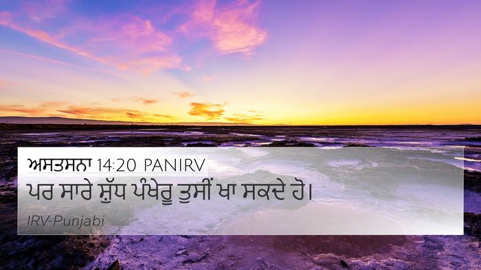 ਅਸਤਸਨਾ 14:20 PANIRV 4K Wallpaper - ਪਰ ਸਾਰੇ ਸ਼ੁੱਧ - 4K Wallpaper Bible Verse