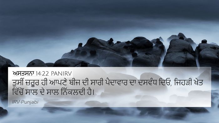 ਅਸਤਸਨਾ 14:22 PANIRV Bible Verse Image