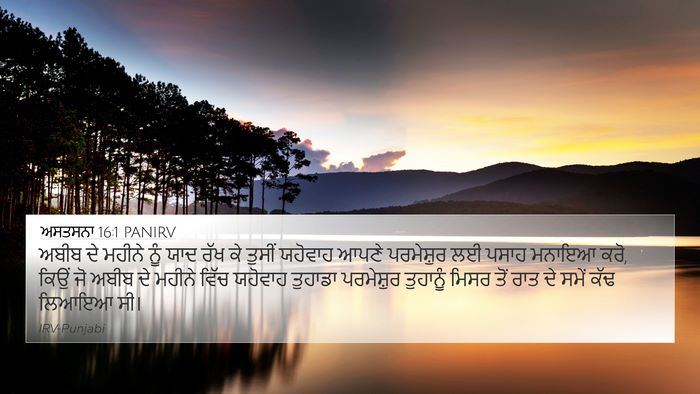 ਅਸਤਸਨਾ 16:1 PANIRV Bible Verse Image