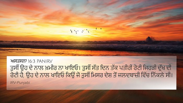 ਅਸਤਸਨਾ 16:3 PANIRV 4K Wallpaper - ਤੁਸੀਂ ਉਹ ਦੇ ਨਾਲ - 4K Wallpaper Bible Verse
