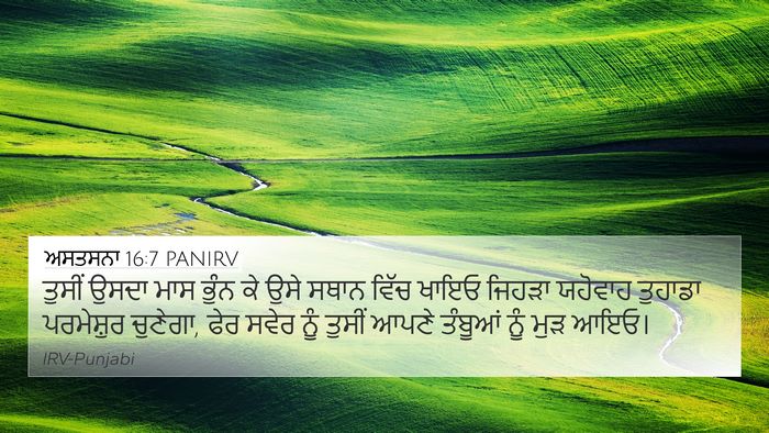 ਅਸਤਸਨਾ 16:7 PANIRV 4K Wallpaper - ਤੁਸੀਂ ਉਸਦਾ ਮਾਸ - 4K Wallpaper Bible Verse