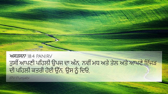 ਅਸਤਸਨਾ 18:4 PANIRV Bible Verse Image