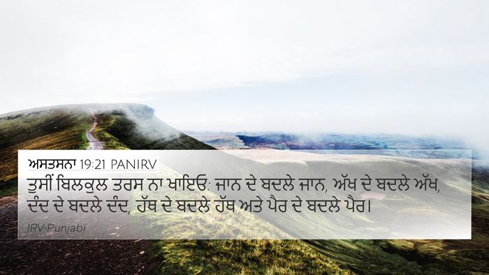 ਅਸਤਸਨਾ 19:21 PANIRV Bible Verse Image