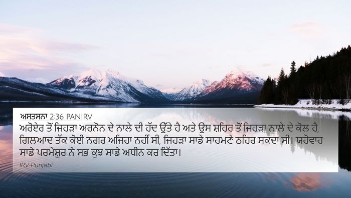 ਅਸਤਸਨਾ 2:36 PANIRV Bible Verse Image