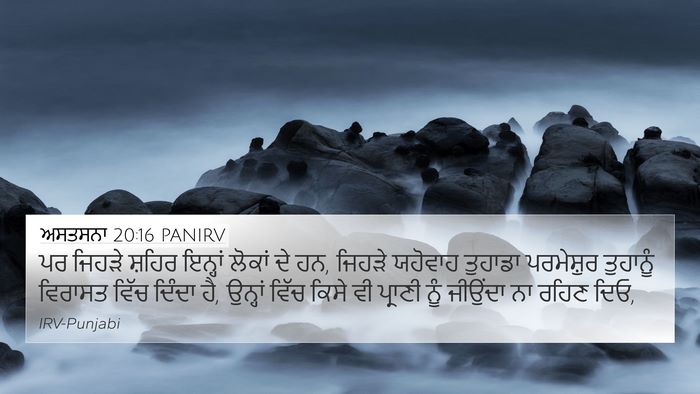 ਅਸਤਸਨਾ 20:16 PANIRV Bible Verse Image