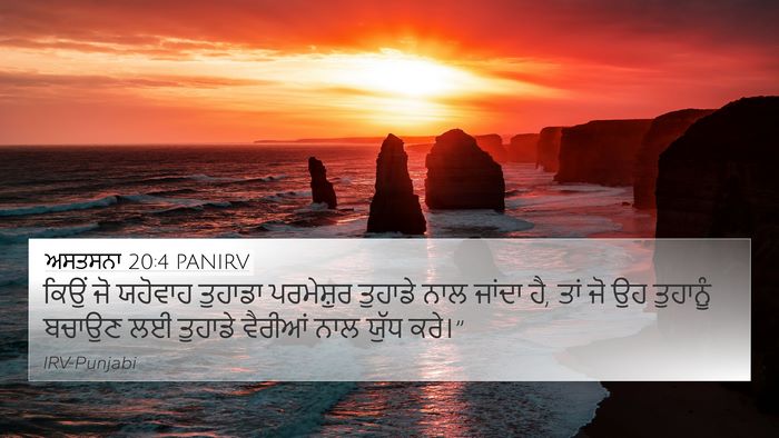 ਅਸਤਸਨਾ 20:4 PANIRV Bible Verse Image