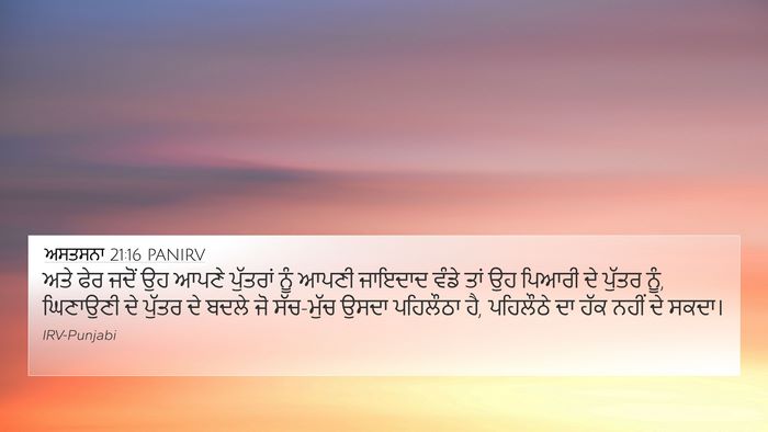 ਅਸਤਸਨਾ 21:16 PANIRV Bible Verse Image