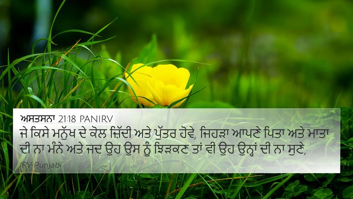 ਅਸਤਸਨਾ 21:18 PANIRV Bible Verse Image