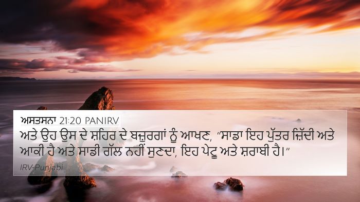 ਅਸਤਸਨਾ 21:20 PANIRV Bible Verse Image