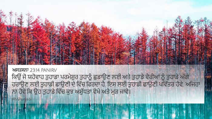 ਅਸਤਸਨਾ 23:14 PANIRV Bible Verse Image