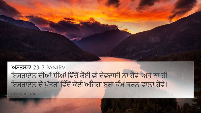 ਅਸਤਸਨਾ 23:17 PANIRV Bible Verse Image