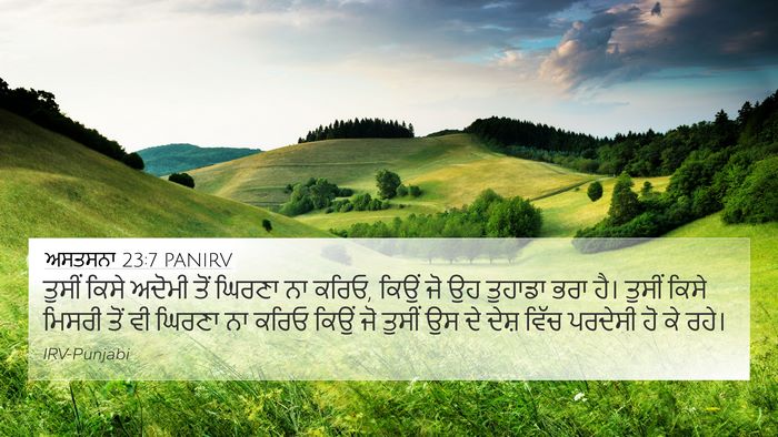 ਅਸਤਸਨਾ 23:7 PANIRV Bible Verse Image