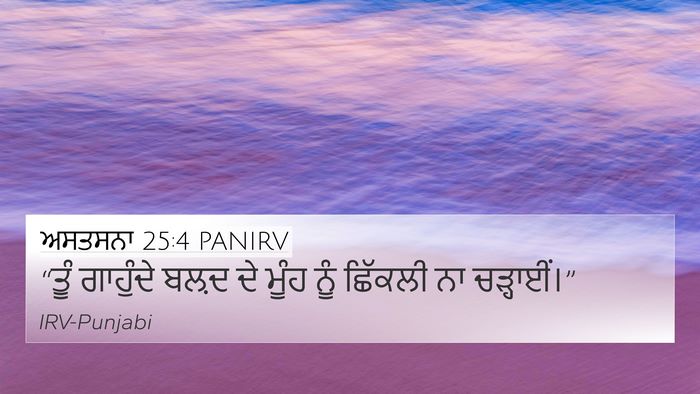 ਅਸਤਸਨਾ 25:4 PANIRV Bible Verse Image