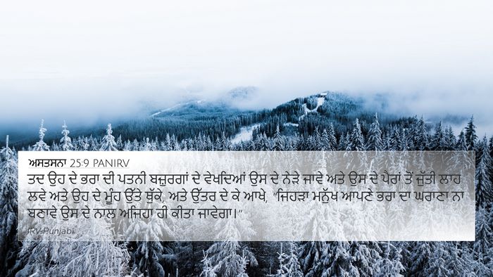 ਅਸਤਸਨਾ 25:9 PANIRV Bible Verse Image