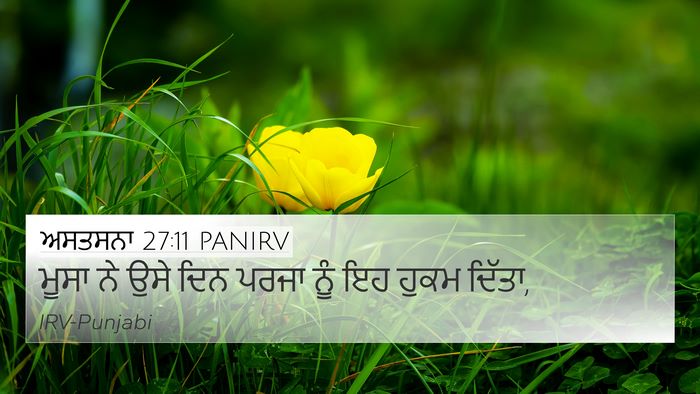 ਅਸਤਸਨਾ 27:11 PANIRV Bible Verse Image