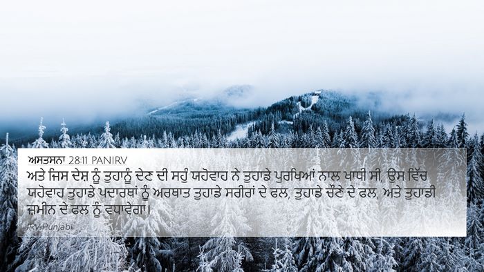 ਅਸਤਸਨਾ 28:11 PANIRV Bible Verse Image