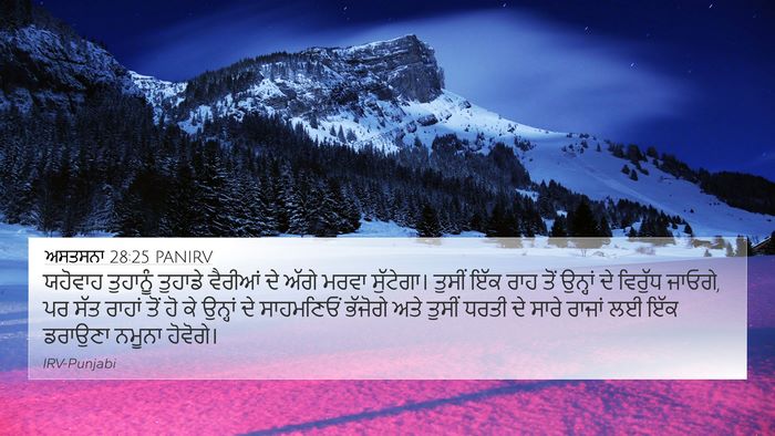 ਅਸਤਸਨਾ 28:25 PANIRV Bible Verse Image