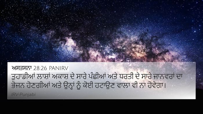 ਅਸਤਸਨਾ 28:26 PANIRV Bible Verse Image