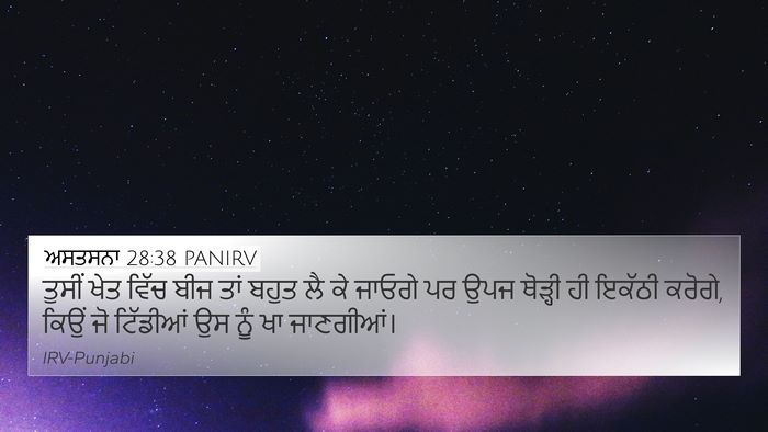 ਅਸਤਸਨਾ 28:38 PANIRV Bible Verse Image