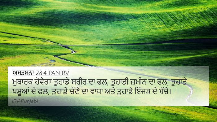 ਅਸਤਸਨਾ 28:4 PANIRV Bible Verse Image