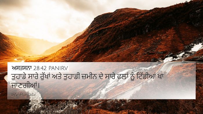 ਅਸਤਸਨਾ 28:42 PANIRV Bible Verse Image