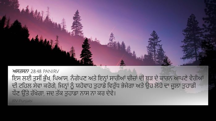ਅਸਤਸਨਾ 28:48 PANIRV Bible Verse Image