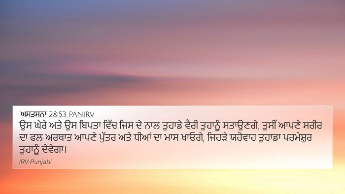 ਅਸਤਸਨਾ 28:53 PANIRV Bible Verse Image