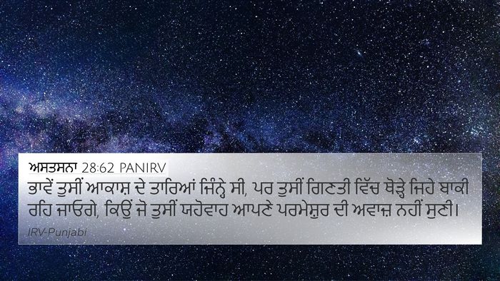 ਅਸਤਸਨਾ 28:62 PANIRV Bible Verse Image
