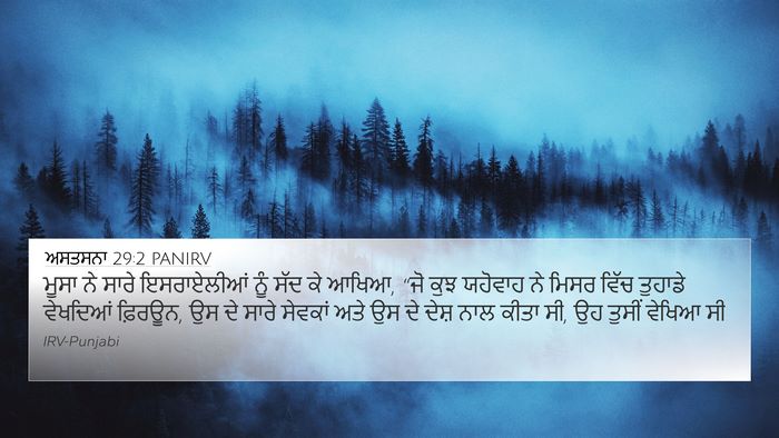 ਅਸਤਸਨਾ 29:2 PANIRV Bible Verse Image