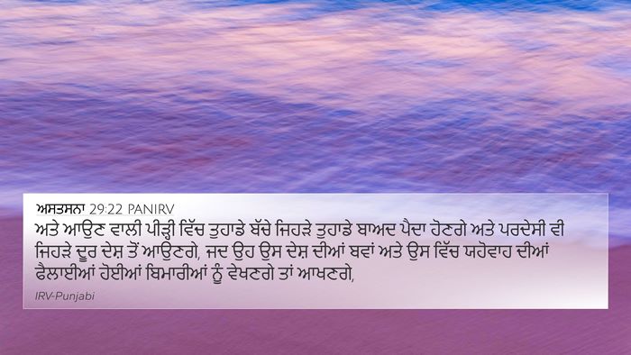 ਅਸਤਸਨਾ 29:22 PANIRV Bible Verse Image