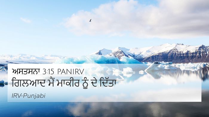 ਅਸਤਸਨਾ 3:15 PANIRV Bible Verse Image