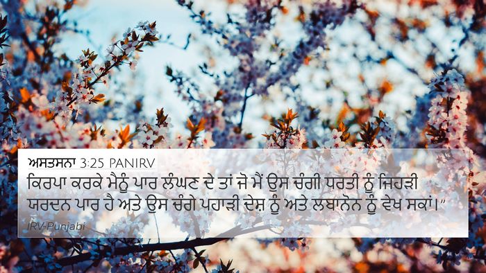 ਅਸਤਸਨਾ 3:25 PANIRV Bible Verse Image