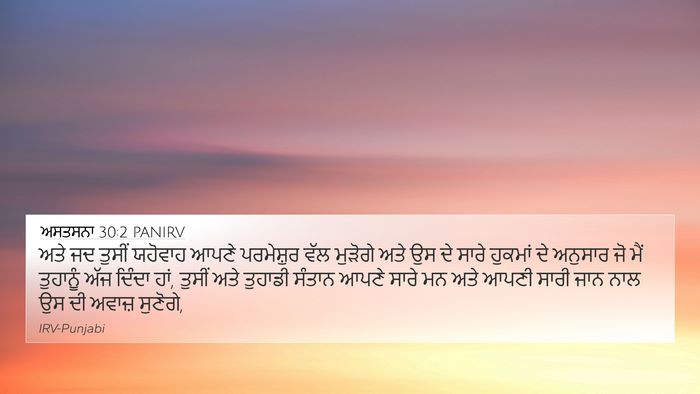 ਅਸਤਸਨਾ 30:2 PANIRV Bible Verse Image