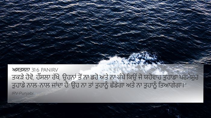 ਅਸਤਸਨਾ 31:6 PANIRV Bible Verse Image