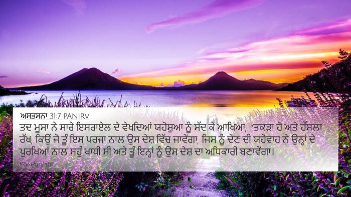 ਅਸਤਸਨਾ 31:7 PANIRV Bible Verse Image