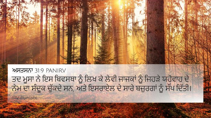 ਅਸਤਸਨਾ 31:9 PANIRV Bible Verse Image