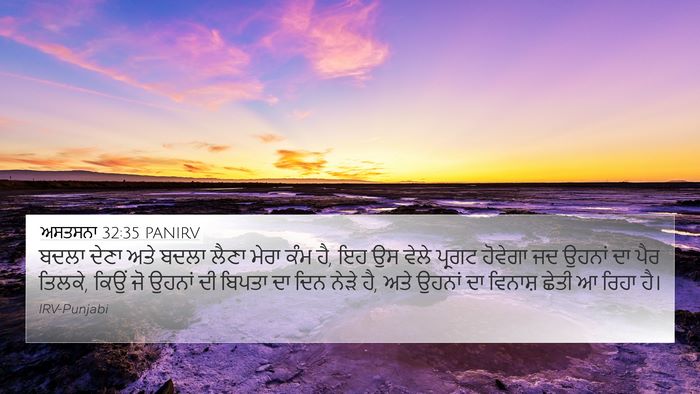 ਅਸਤਸਨਾ 32:35 PANIRV Bible Verse Image