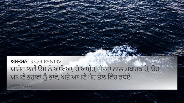 ਅਸਤਸਨਾ 33:24 PANIRV Bible Verse Image