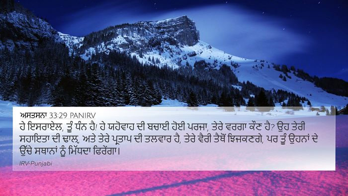 ਅਸਤਸਨਾ 33:29 PANIRV Bible Verse Image