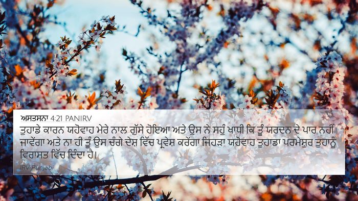 ਅਸਤਸਨਾ 4:21 PANIRV Bible Verse Image