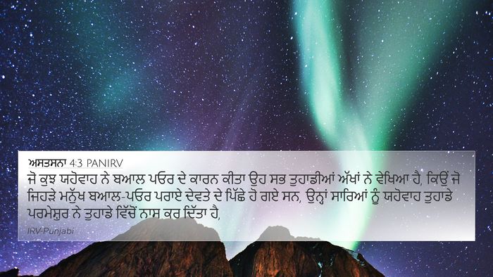 ਅਸਤਸਨਾ 4:3 PANIRV Bible Verse Image