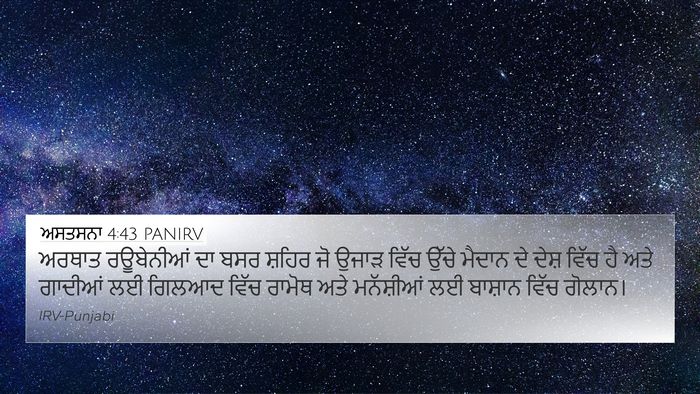 ਅਸਤਸਨਾ 4:43 PANIRV Bible Verse Image