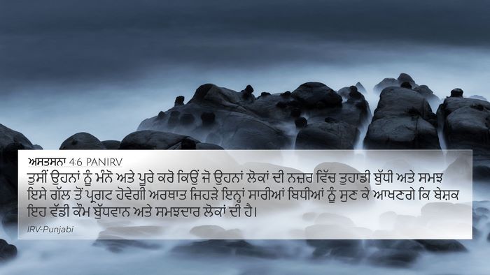 ਅਸਤਸਨਾ 4:6 PANIRV Bible Verse Image