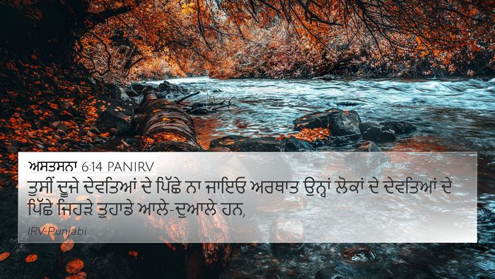ਅਸਤਸਨਾ 6:14 PANIRV Bible Verse Image