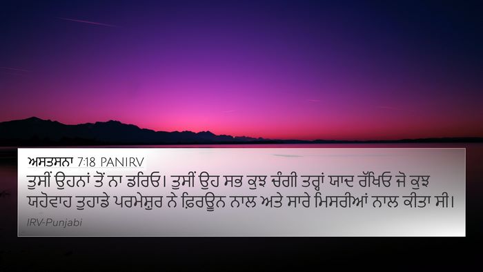 ਅਸਤਸਨਾ 7:18 PANIRV Bible Verse Image
